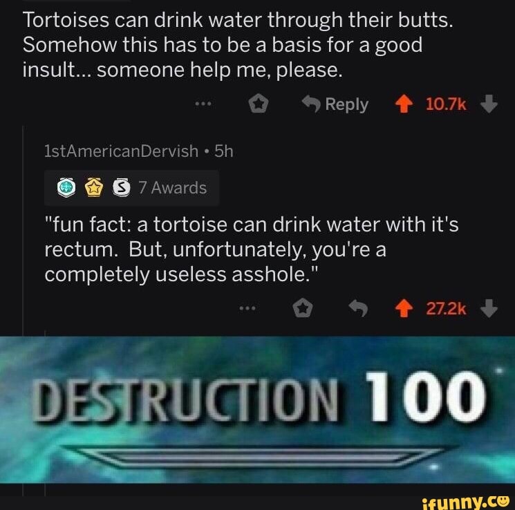 Tortoises can drink water through their butts.
Somehow this has to be a basis for a good
insult... someone help me. please.
. ª a 7Award5
"fun fact: a tortoise can drink water with it's
rectum. But. unfortunately, you‘re a