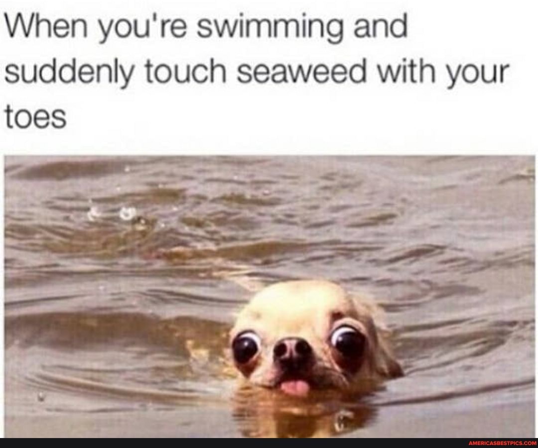 When you're swimming and suddenly touch seaweed with your
toes