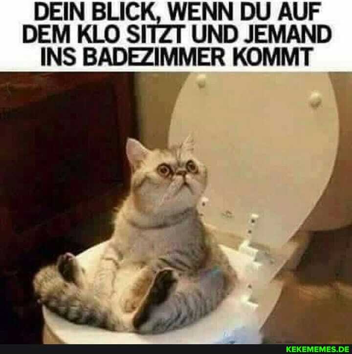 DEIN BLICK, WENN DU AUF DEM KLO SITZT UND JEMAND INS BADEZIMMER KOMMT