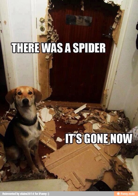 re
WAS A SPIDER
LL