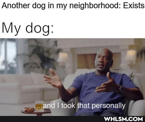 Another dog in my neighborhood: Exists
My dog:
and I took that personally