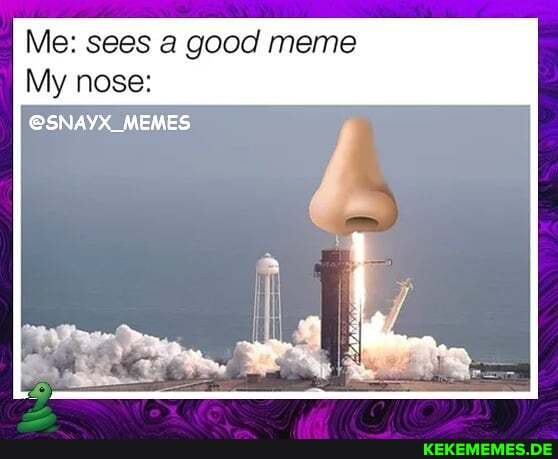 Me: sees a good meme
My nose:
@SNAYX_MEMES
ii I