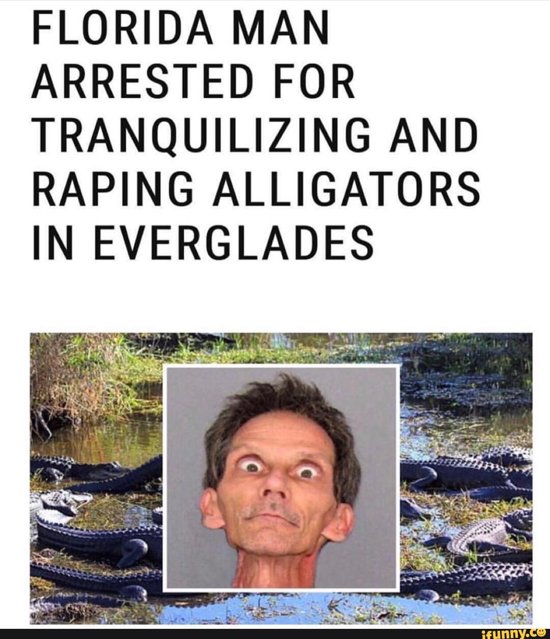 FLORIDA MAN ARRESTED FOR TRANQUILIZING AND RAPING ALLIGATORS IN ...