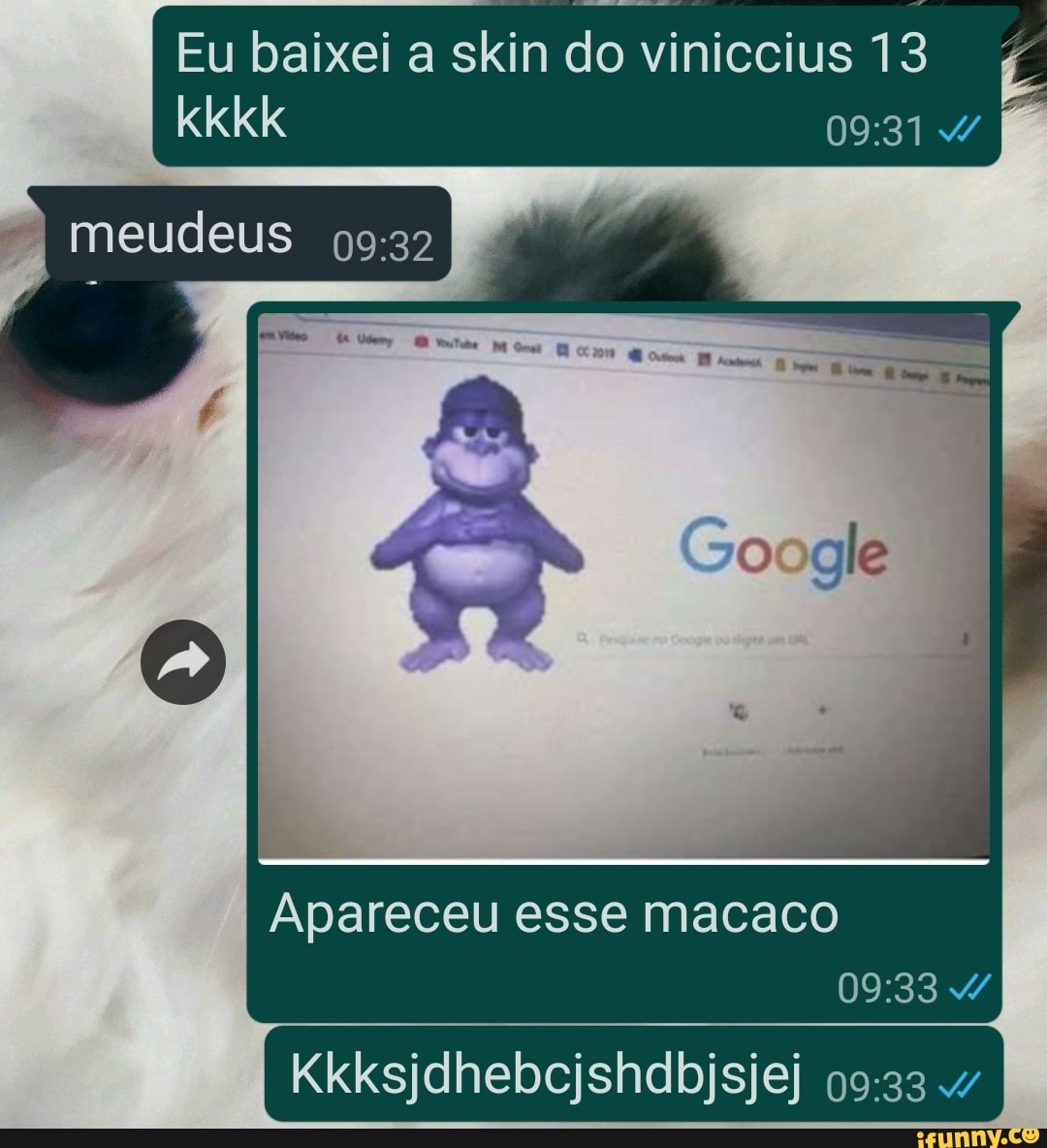 Eu baixei a skin do viniccius 13
kkkk
meudeus
Apareceu esse macaco
Kkksjdhebcjshdbjsjej