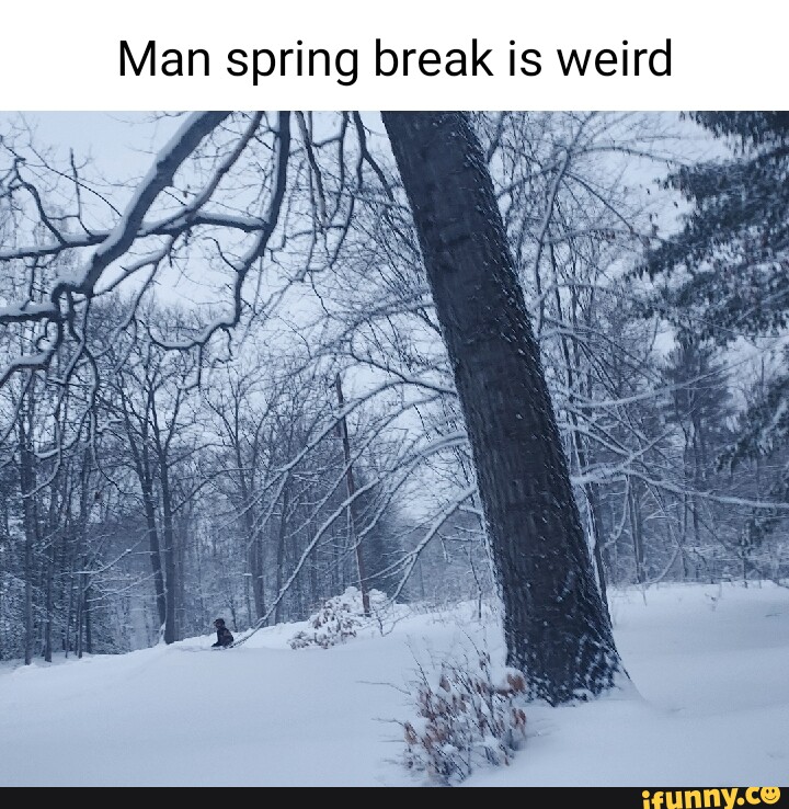 Man spring break is weird - iFunny