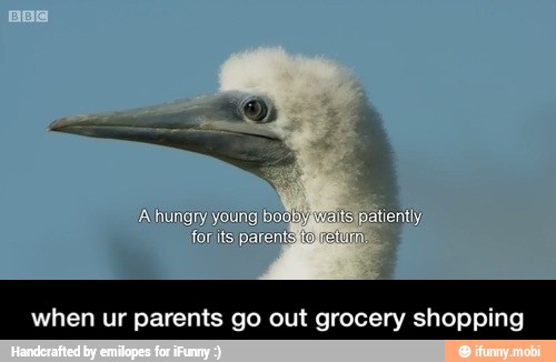en ur parents go out grocery shoppi - when ur parents go out grocery shopping