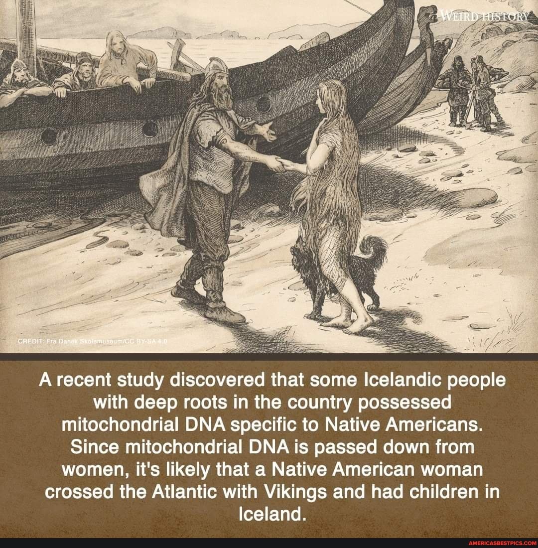 HISTORy
A recent study discovered that some Icelandic people with deep roots in the country possessed mitochondrial DNA specific to Native Americans.
Since mitochondrial DNA is passed down from women, it's likely that a Native American woman crossed the Atlantic with Vikings and had children in
Iceland.