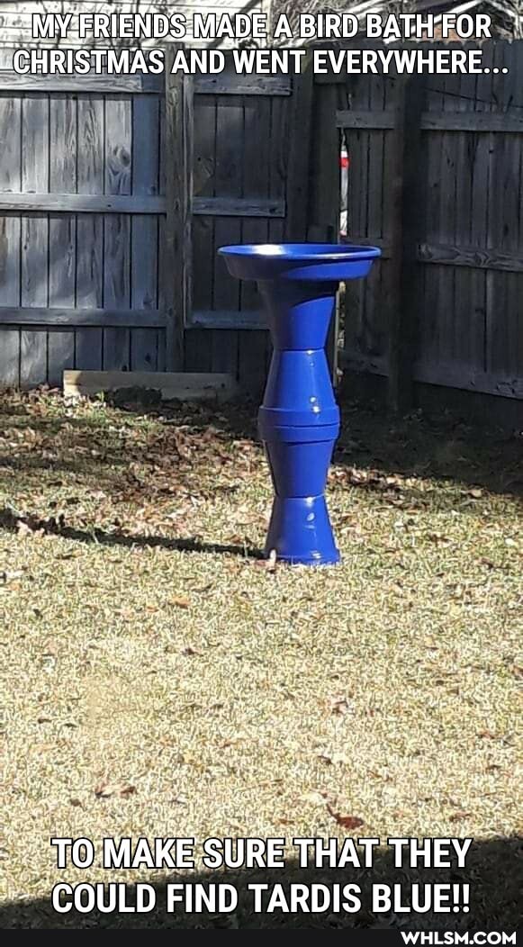 MADE ABIRD BATHFOR STMAS AND WENT EVERYWHERE...
TO'MAKE SURE THAT THEY COULD FIND TARDIS BLUE!