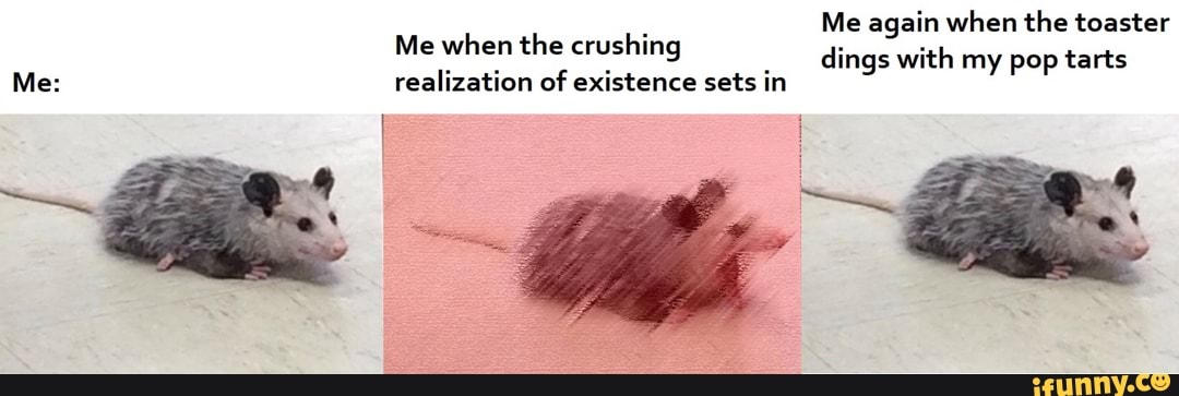 Me again when the toaster
dings with my pop tarts
Me when the crushing
Me: realization of existence sets in