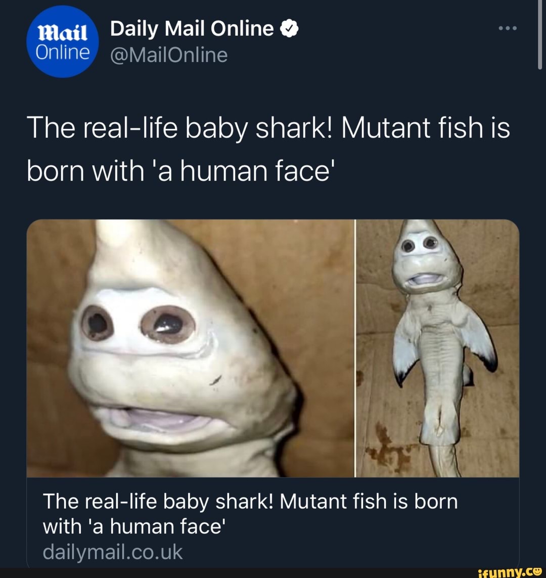 Mait Daily Mail Online Online Mailonline The Real Life Baby Shark Mutant Fish Is Born With A Human Face The Real Life Baby Shark Mutant Fish Is Born With A Human Face Dailymail Co Uk