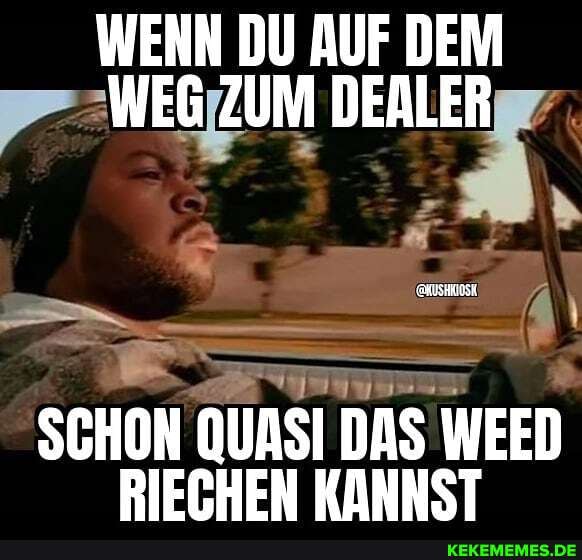 WENN DU AUF DEM WEG ZUM DEALER
SCHON QUASI DAS WEED RIECHEN KANNST