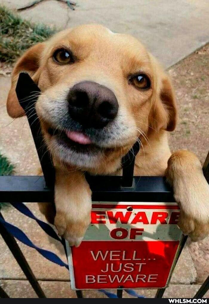 WELL...
JUST
BEWARE