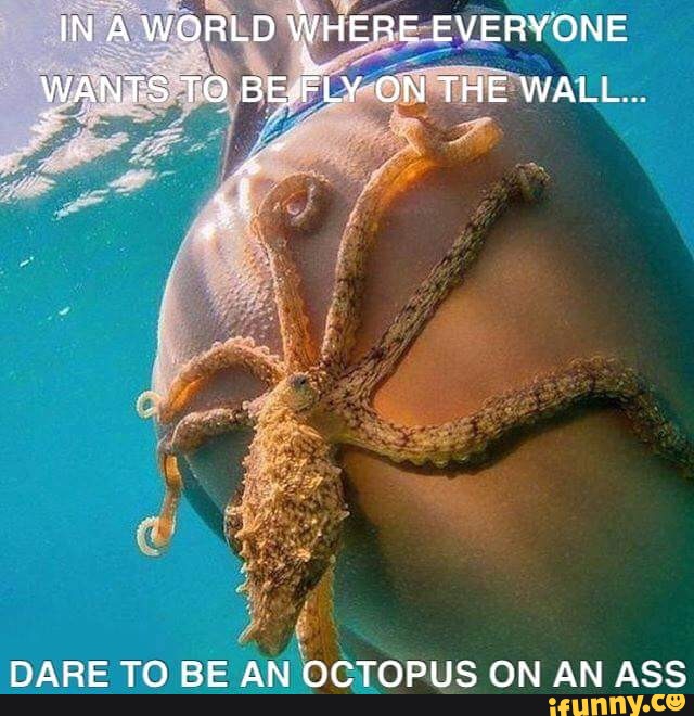 Octopus In Ass