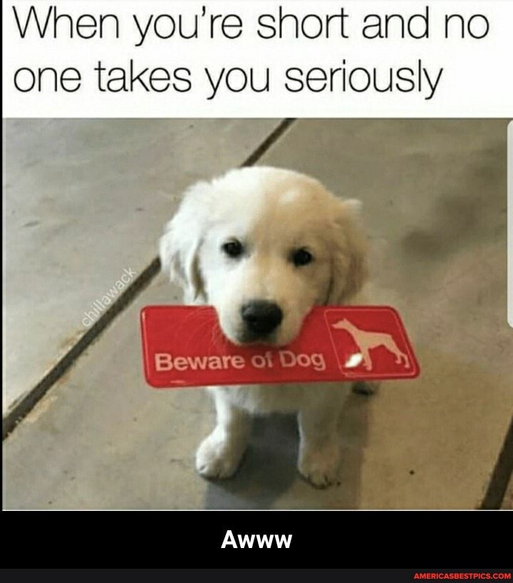 When you're short and no one takes you seriously
Awww - Awww