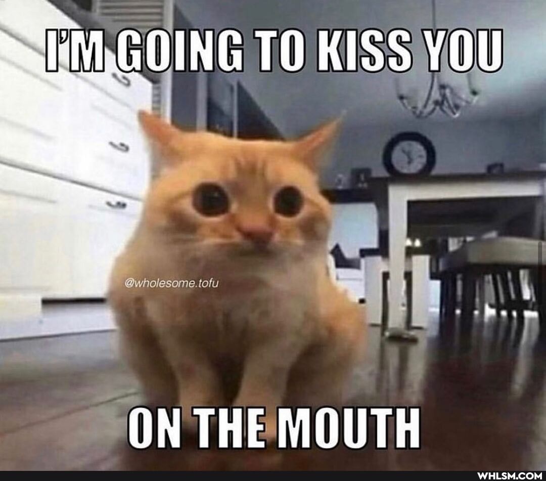 TO
ON THE MOUTH