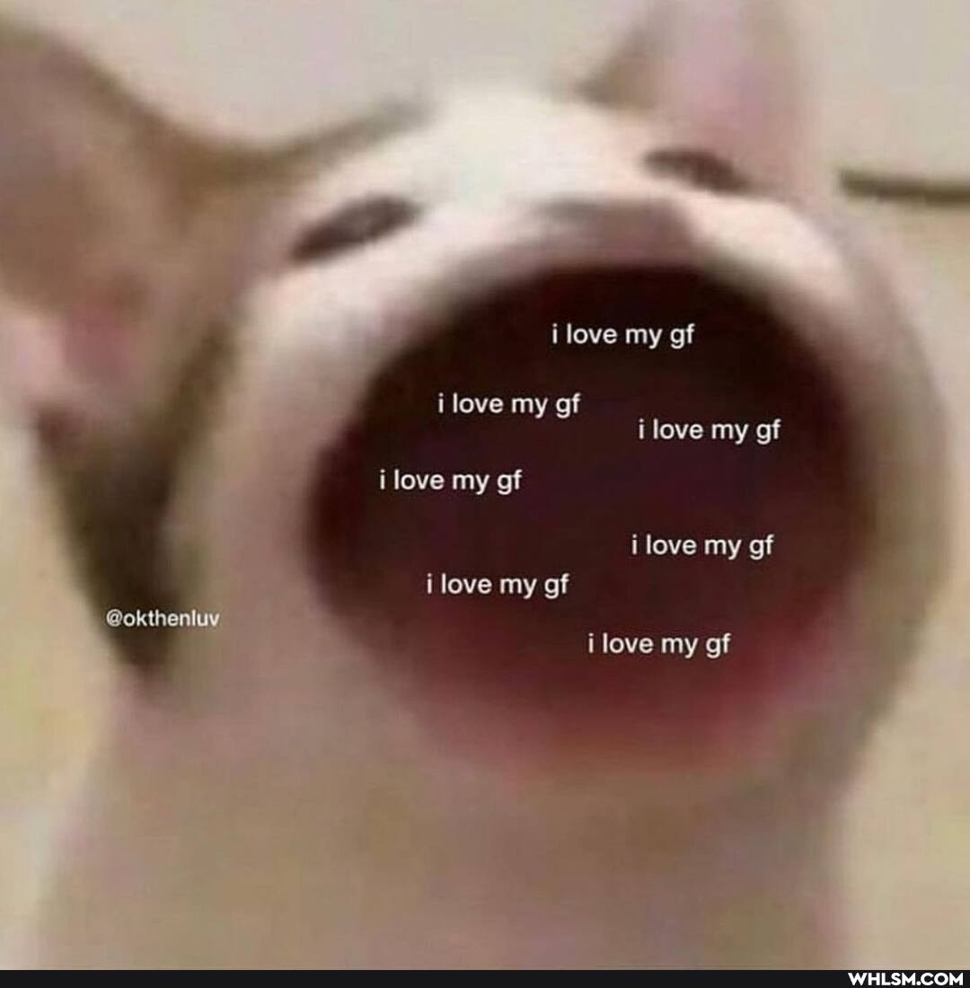 love my gf
love my of love my gf i love my of i love my of love my
@okthenluy love my gf