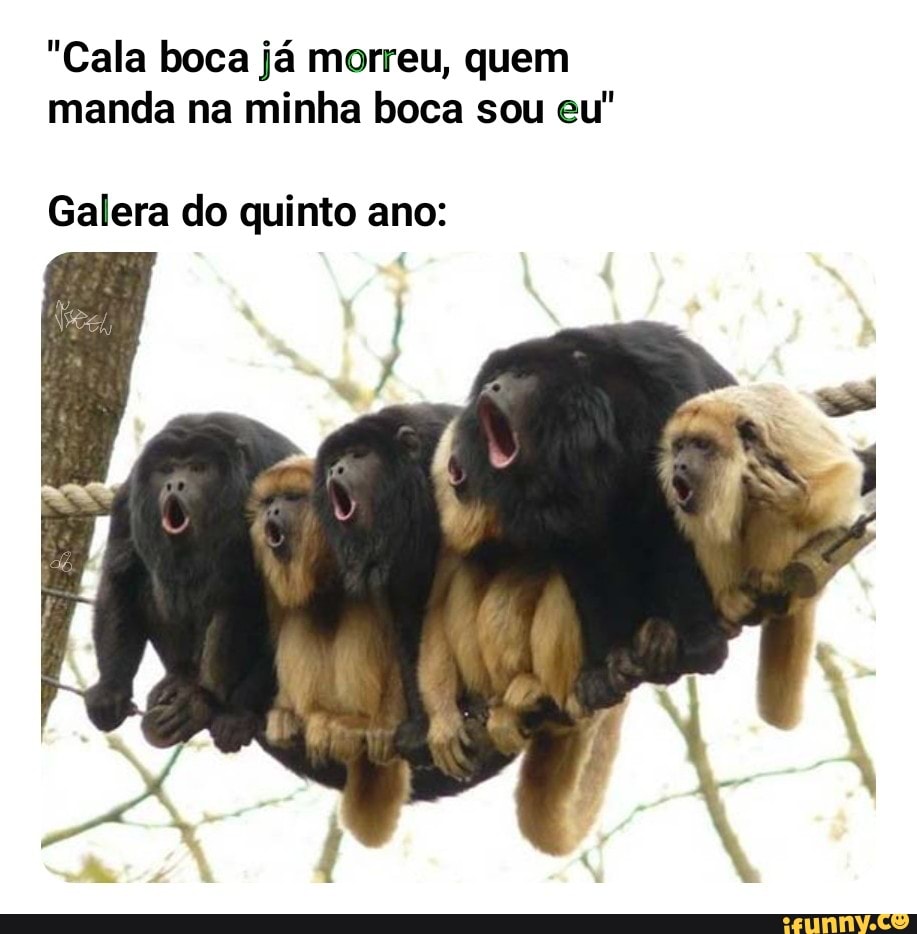 "Cala boca já morreu, quem manda na minha boca sou eu"
Galera do quinto ano: