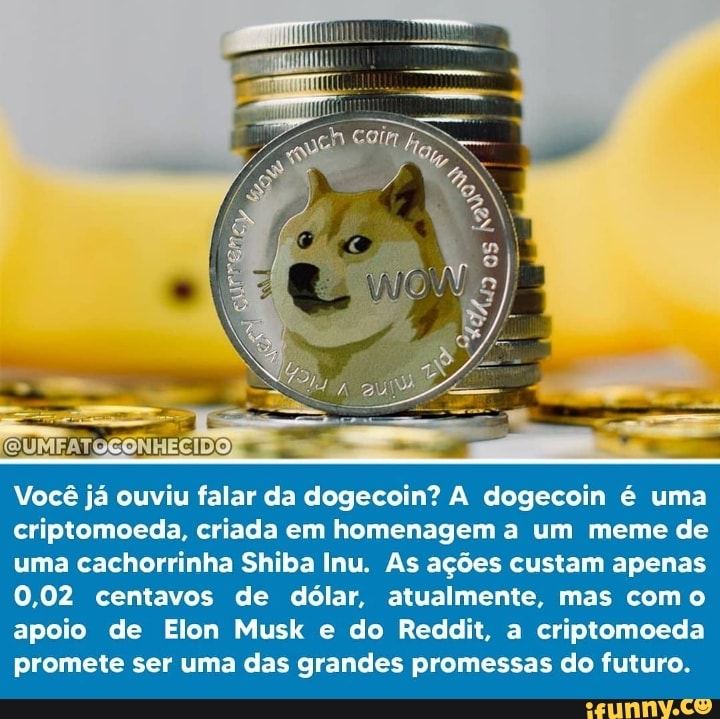 Você já ouviu falar da dogecoin? A dogecoin é uma criptomoeda, criada em homenagem a um meme de uma cachorrinha Shiba Inu. As ações custam apenas
0,02 centavos de dólar, atualmente, mas com o apoio de Elon Musk e do Reddit, a criptomoeda promete ser uma das grandes promessas do futuro.