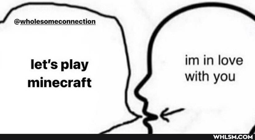 @wholesomeconnection
im in love with you
let's play minecraft