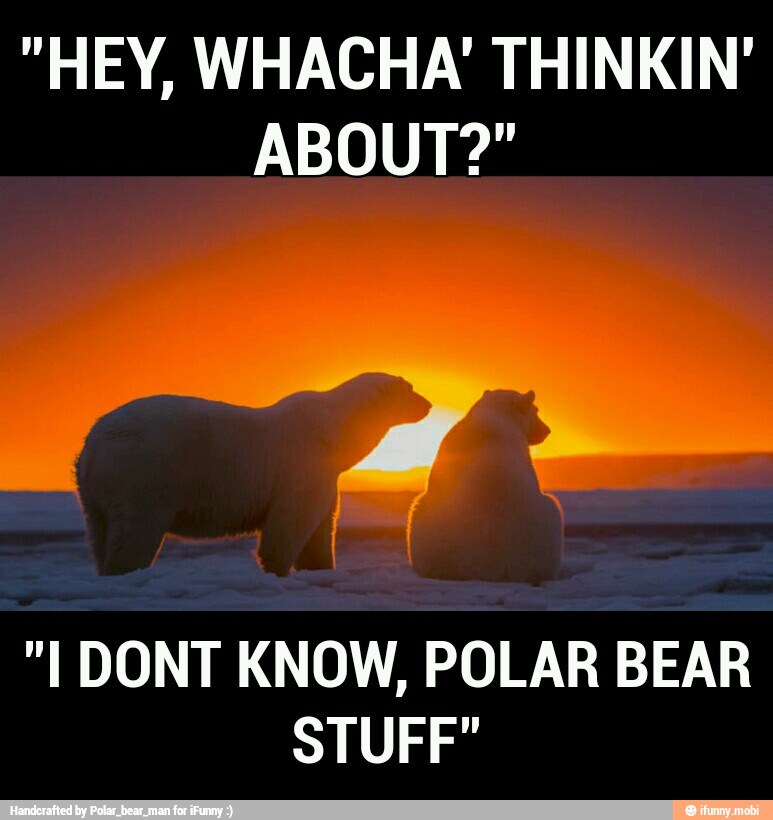 "HEY, WHACHA'' THINKIN'
ABOUT?"
"I DONT KNOW, POLAR BEAR
STUFF"