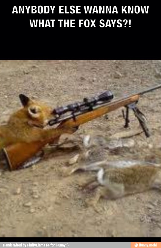ANYBODY ELSE WANNA KNOW
WHAT THE FOX SAYS?!