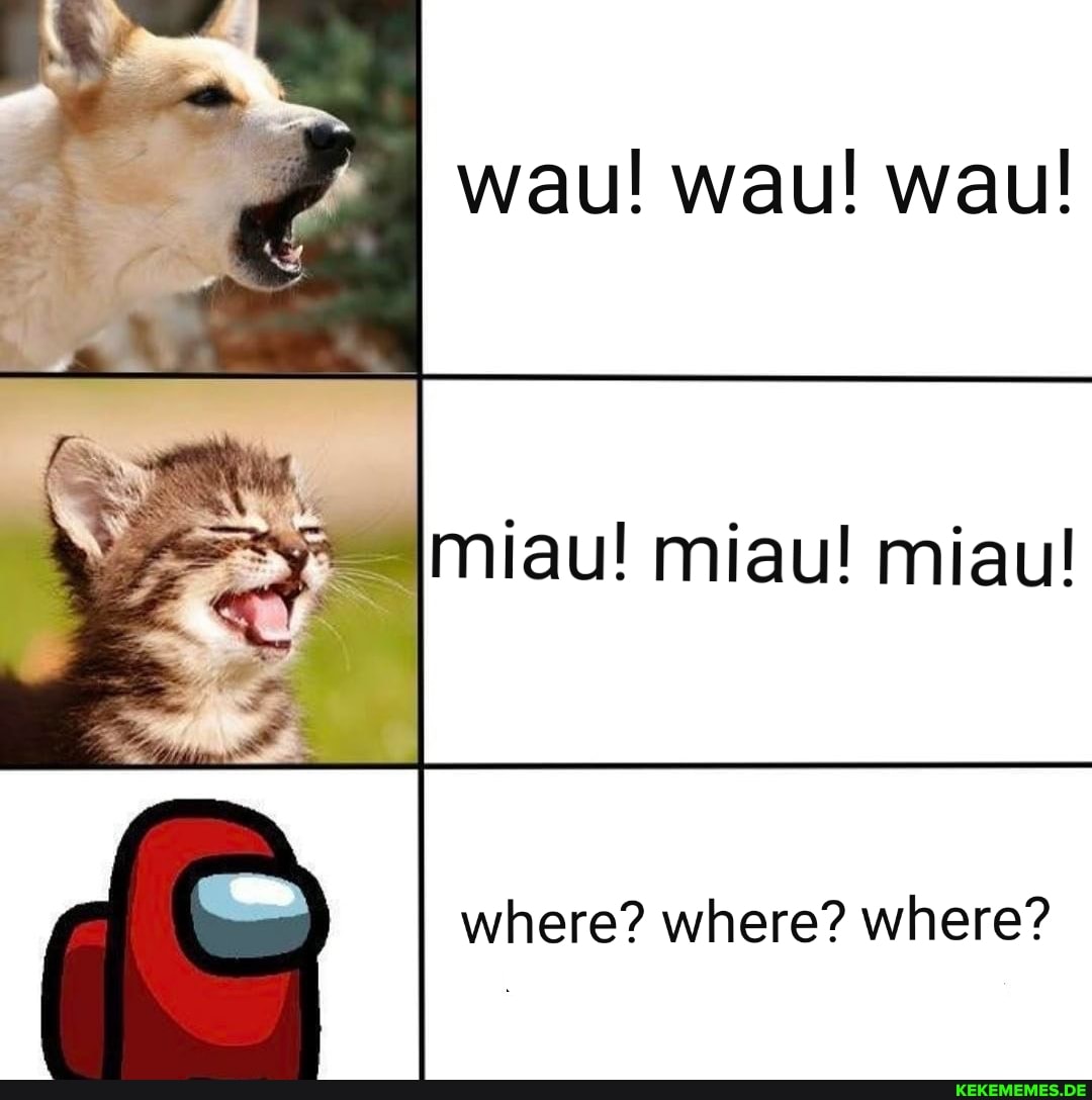 wau! wau! wau!
miau! miau! miau!
where? where? where?