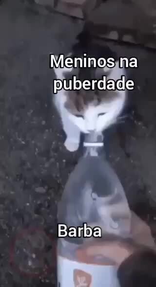 Meninos na puberdade Barba iFunny Brazil