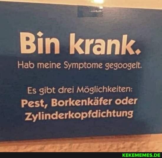 Bin krank.
Hab meine Symptome gegoogelt.
Es gibt drei Möglichkeiten:
Pest, Borkenkäfer oder
Zylinderkopfdichtung