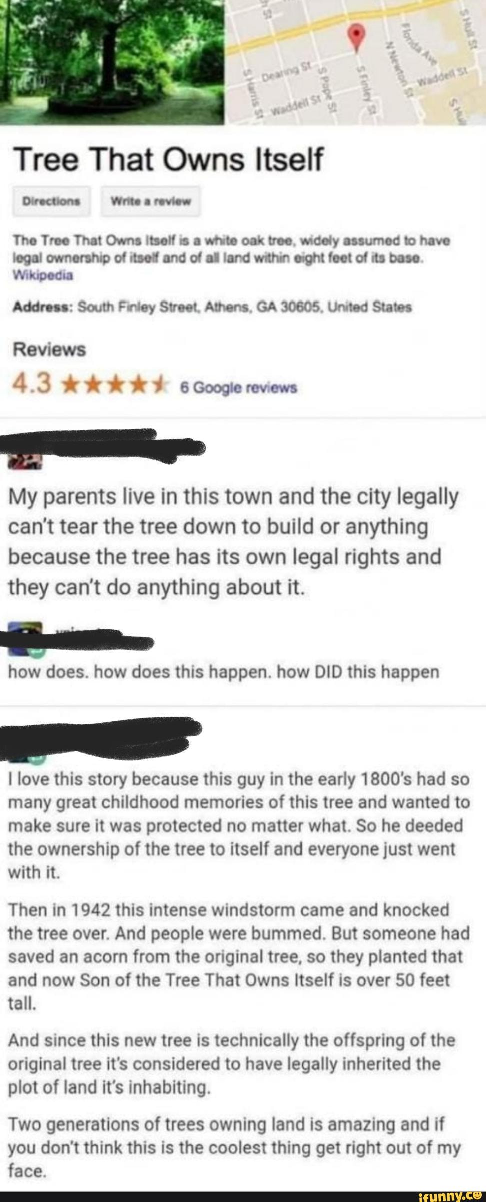 tree-that-owns-itself-directions-write-a-review-the-tree-that-owns