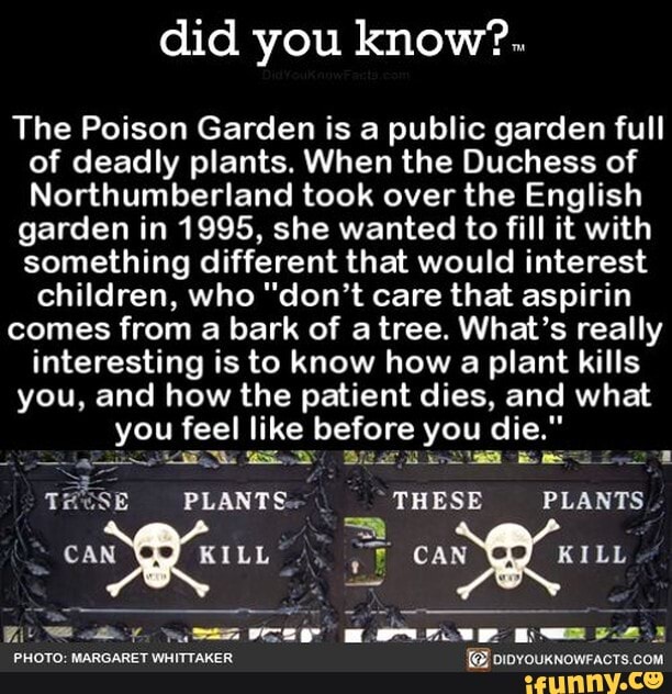 Did You Know?. The Poison Garden Is A Public Garden Full Of Deadly ...