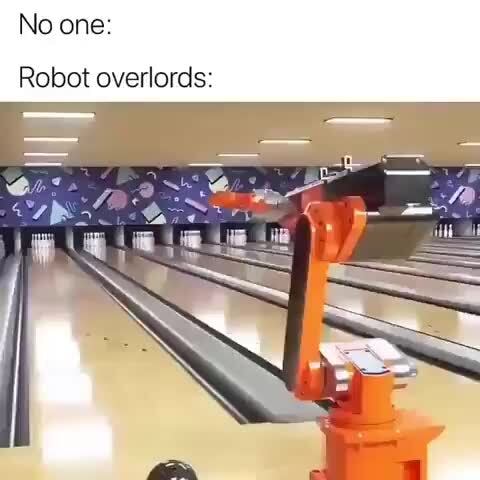 No one:
Robot overlords: