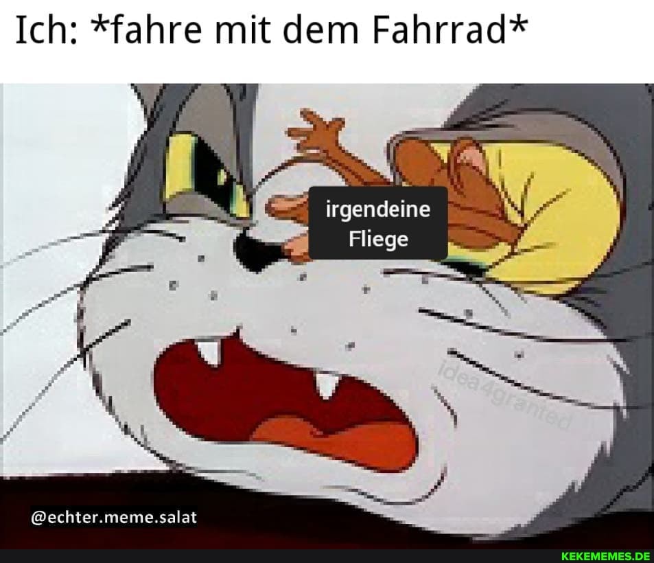 Ich: *fahre mit dem Fahrrad*
irgendeine
Fliege
@echter.meme.salat