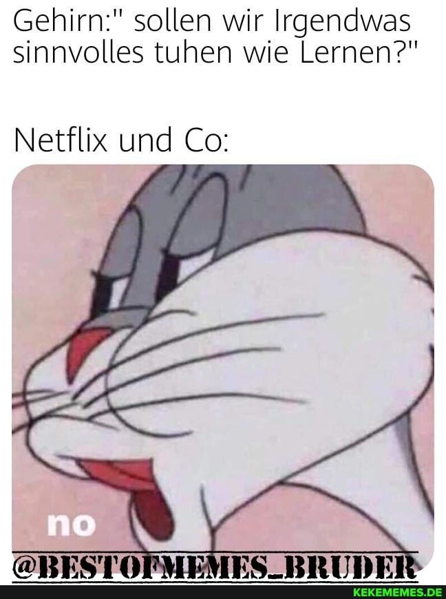 Gehirn:" sollen wir Irgendwas sinnvolles tuhen wie Lernen?"
Netflix und Co: