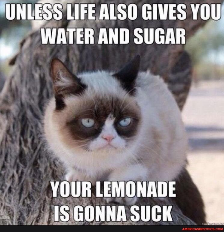 UNLESS LIFE ALSO GIVES YOU WATER AND SUGAR
YOUR LEMONADE IS GONNA SUCK