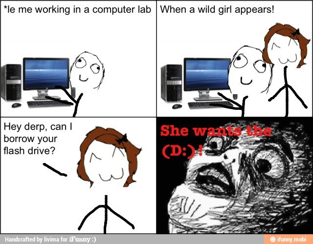 *le me working in a computer lab
I When a wild girl appears!
Hey derp, can I
borrow your
flash drive?