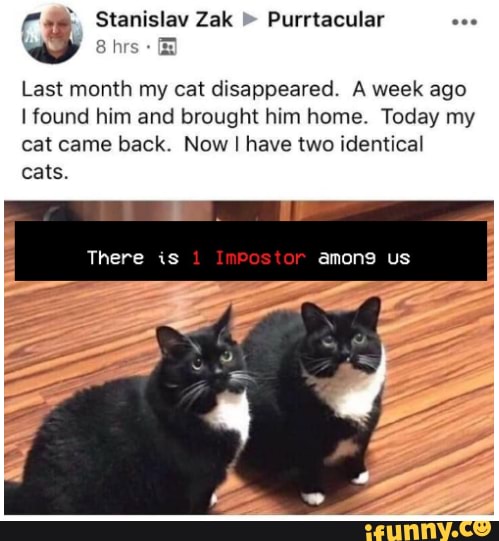 Stanislav Zak Purrtacular
Last month my cat disappeared. A week ago
I found him and brought him home. Today my cat came back. Now I I have two identical cats.
There is imPostor amons us