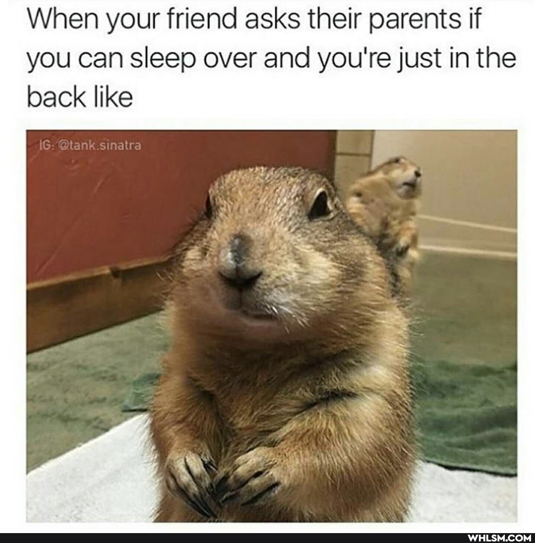 When your friend asks their parents if you can sleep over and you're just in the back like
ass
@lanks atra