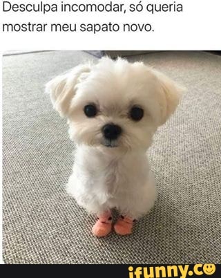 Desculpa incomodar, só queria mostrar meu sapato novo.