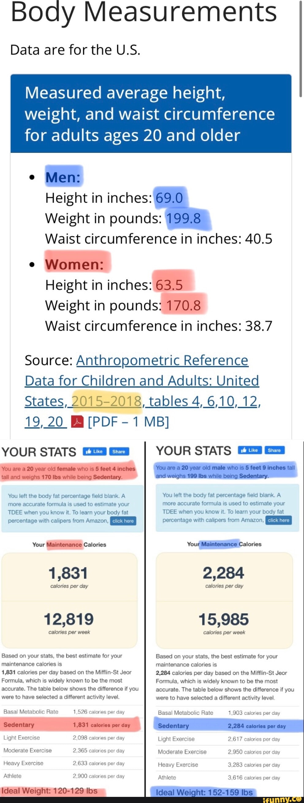 Body Measurements of Average American Man