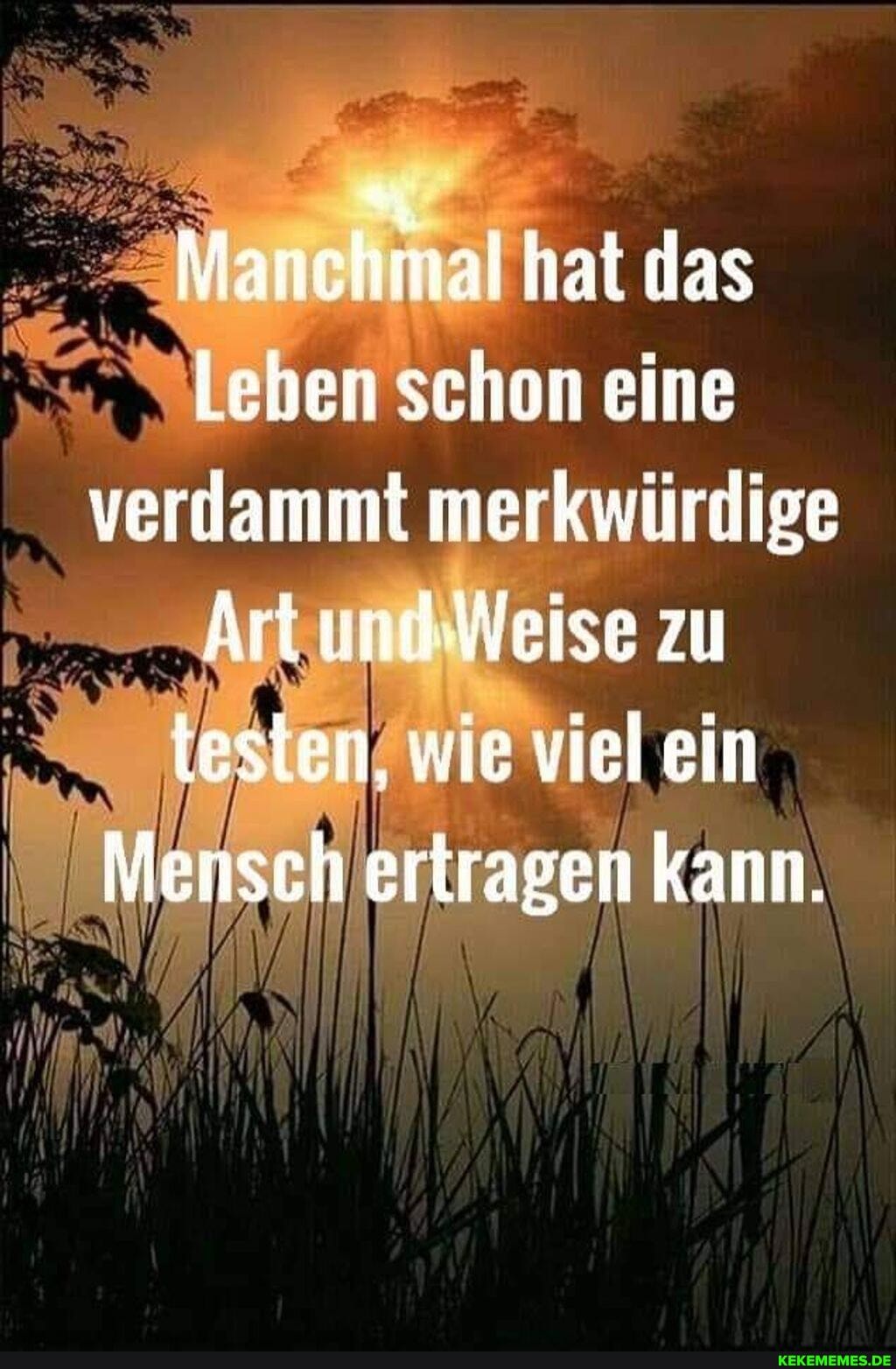 mal hat das
Leben schon eine verdammt merkwürdige
Art leise zu testen. wie viel ein
Mensch ertragen kann.
