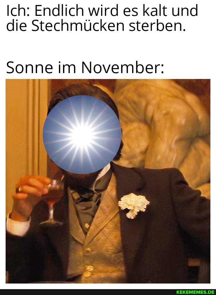 Ich: Endlich wird es kalt und die Stechmücken sterben.
Sonne im November:
