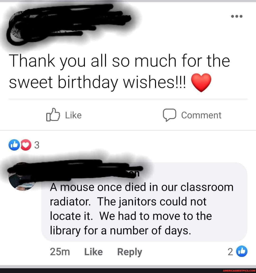 Thank you all so much for the sweet birthday wishes!!!
Like Comment
A mouse once died in our classroom
radiator. The janitors could not locate it. We had to move to the library for a number of days.
Like Reply 20