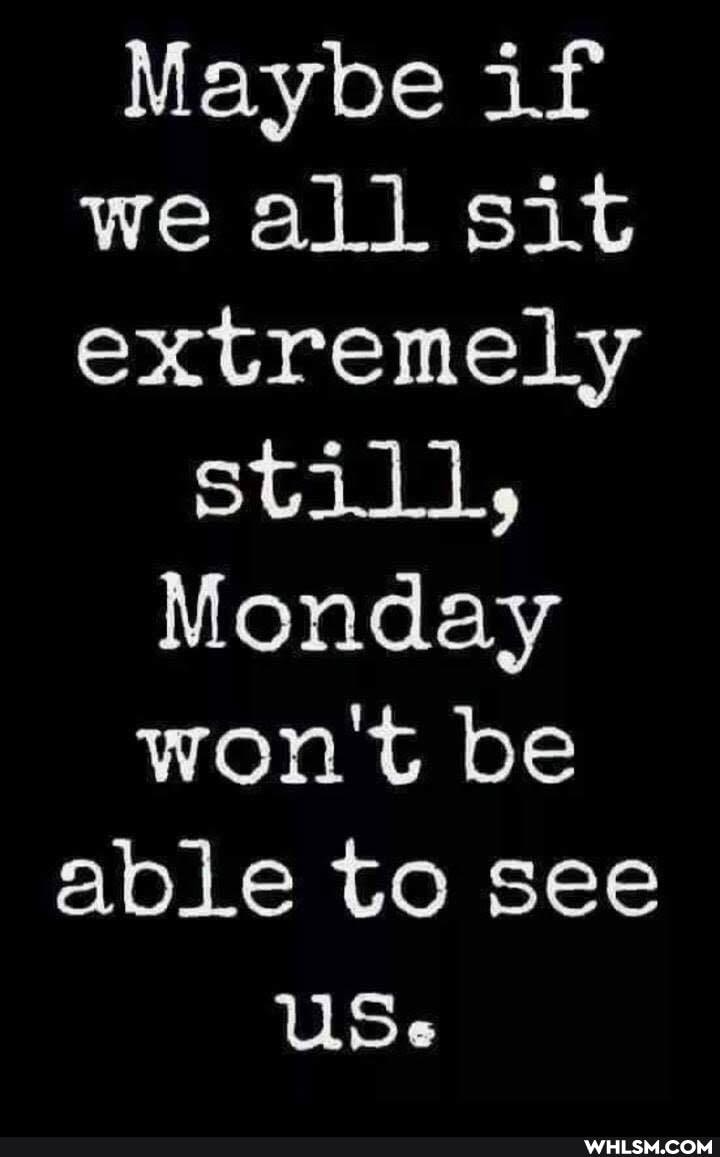 Maybe if we all sit extremely
still,
Monday won't be able to see
USe