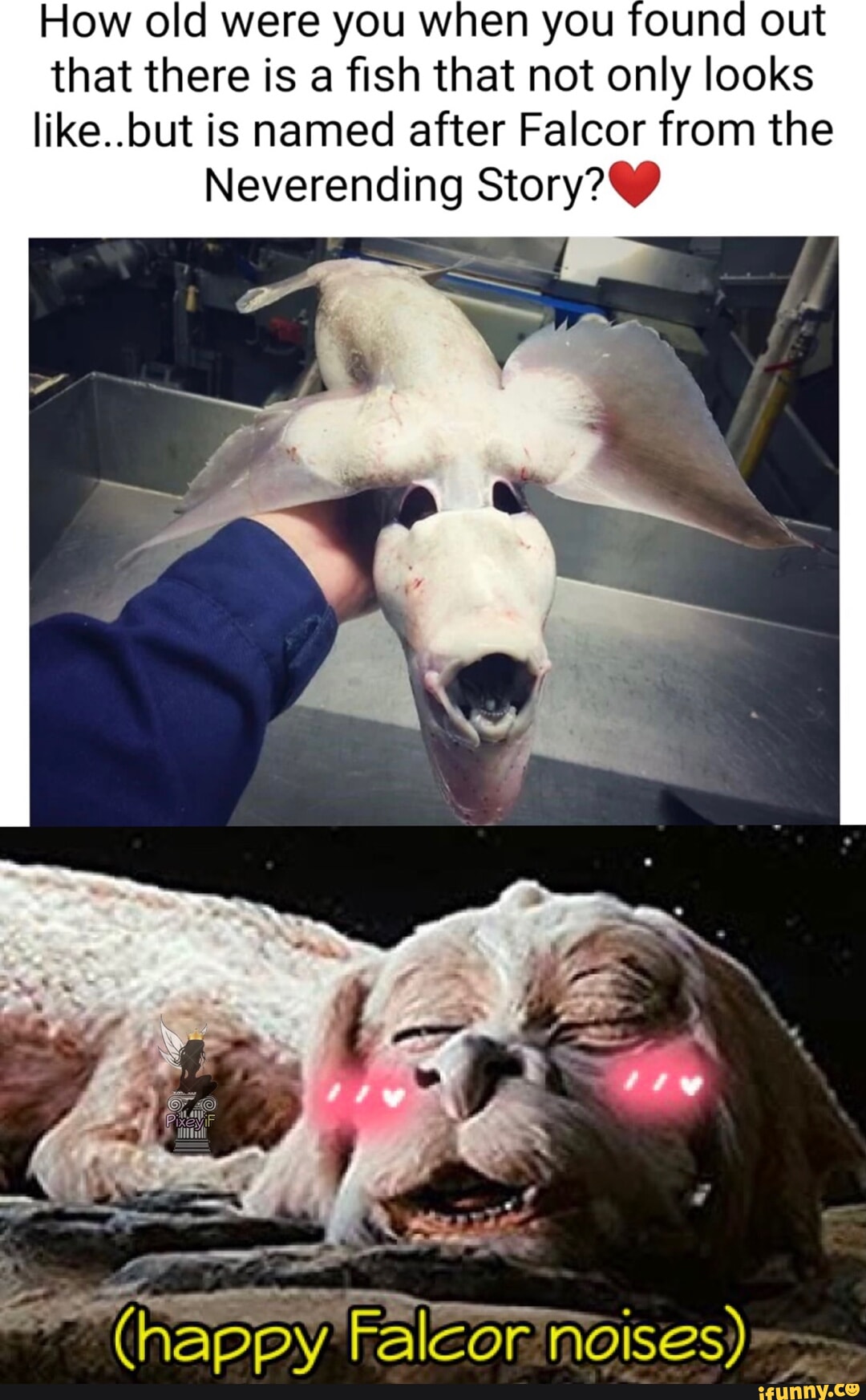 Falcor memes. Best Collection of funny Falcor pictures on iFunny