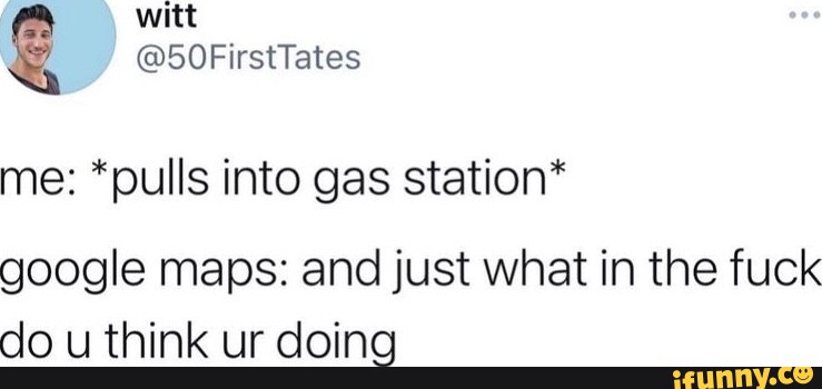 Tasmanian babies - rr synapsid-taxonomy Follow Me: The Tasmanian devil