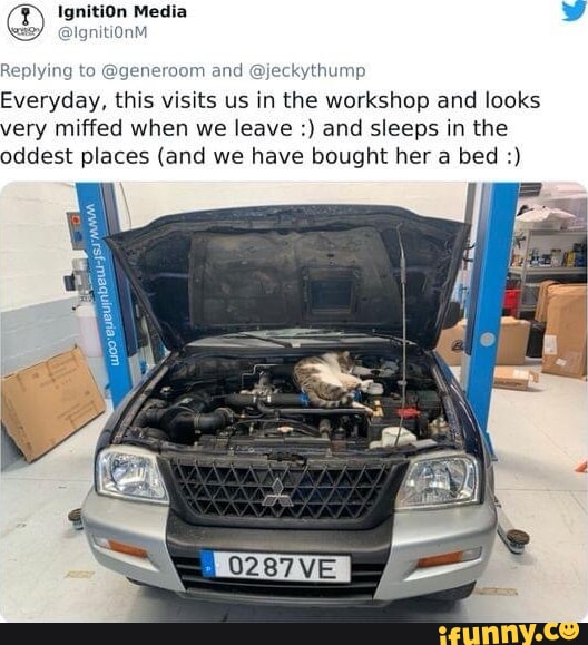 Ignition memes. Best Collection of funny Ignition pictures on iFunny