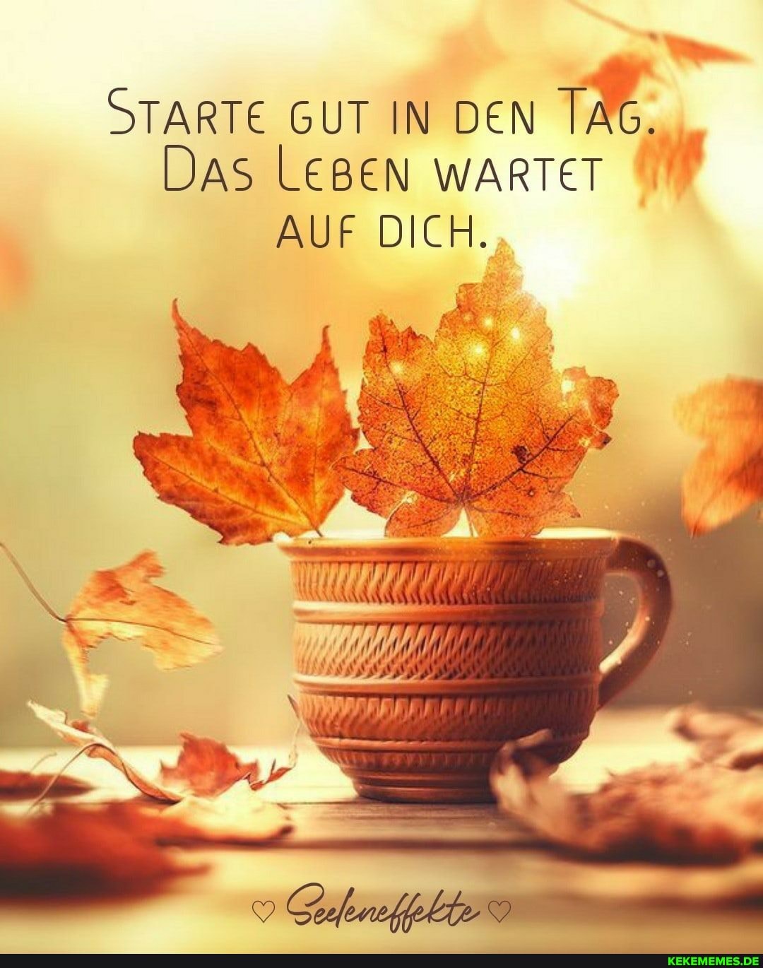 STARTE GUT IN DEN DAS LEBEN WARTET
AUF DICH.