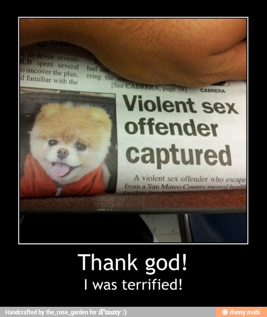 Violent oo.
offender
erat
Thank god!
I was terrified! - Thank god!
I was terrified!