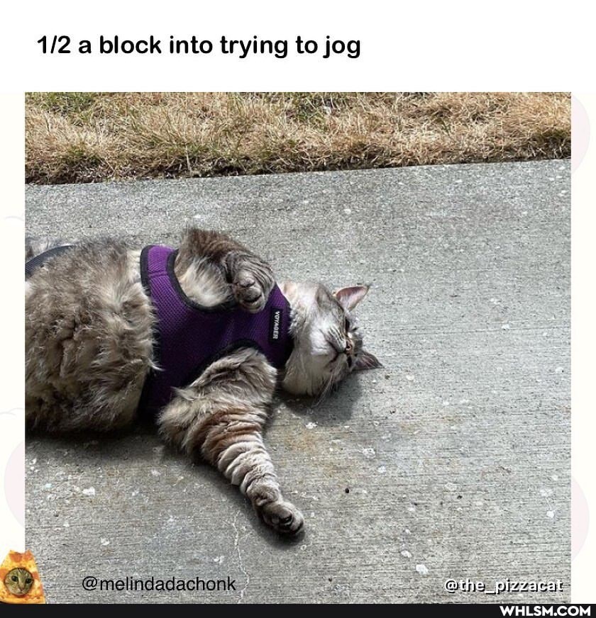 block into trying to jog