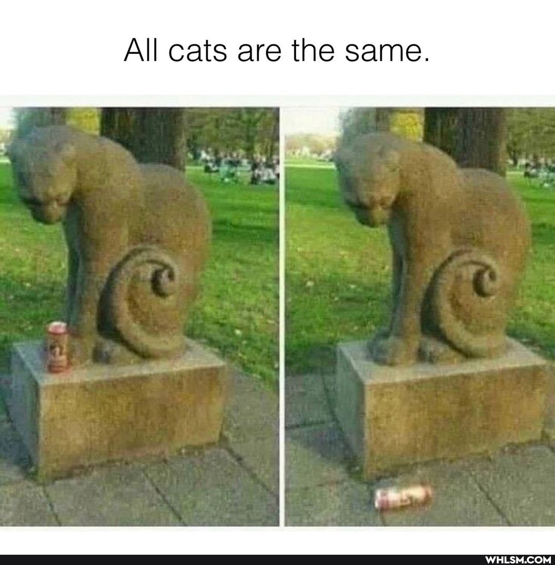 All cats are the same.